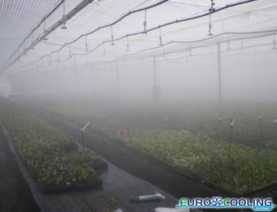 Insudtrial humidification for greenhouses